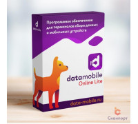 Подписка на обновления DataMobile для версий LifeTime (Online Lite, на 12 месяцев, арт. DMOnlineLiteUpd)