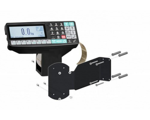 Весы напольные с печатью этикеток Масса-К TB-S-200.2-RP1