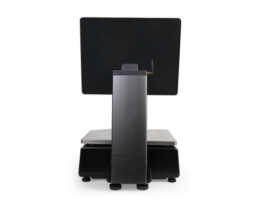 Купить Весы с печатью этикеток Mertech M-ER 727 PM-15.2 (15", VISION-AI, USB/Ethernet/WiFi) от Mertech