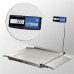 Весы платформенные с пандусом Масса-К 4D-LA.S-10/10-1500-A(RUEW)