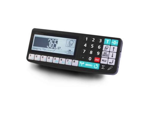 Весы напольные Масса-К TB-S-200.2-RA3